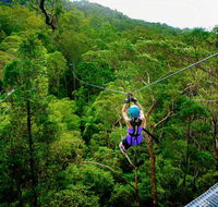 Canyon Flyer - Holiday Find