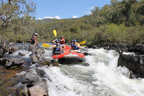 Rafting Australia - Holiday Find 2