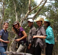 Echidna Walkabout Nature Tours - Holiday Find