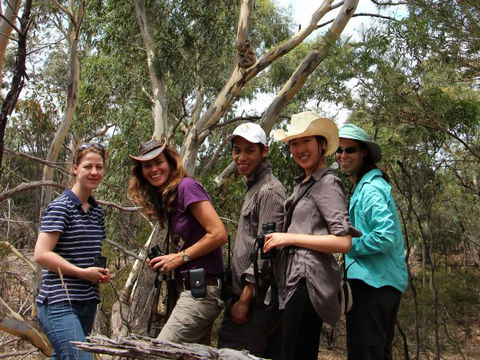 Echidna Walkabout Nature Tours - Holiday Find 1