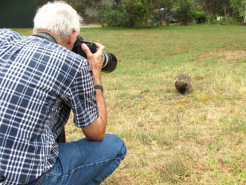 Echidna Walkabout Nature Tours - Holiday Find 5