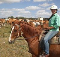 Myella Farm Stay Tours - Holiday Find