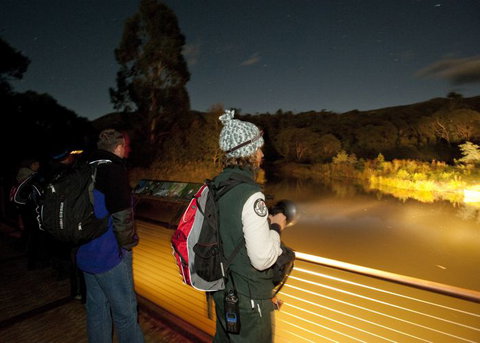 Naturewise At Tidbinbilla - Holiday Find 1