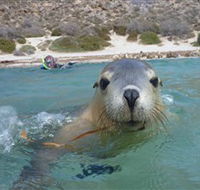 Calypso Star Charters - Holiday Find
