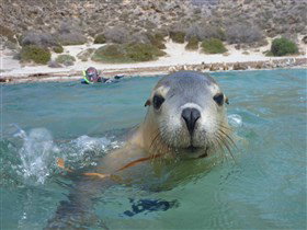Calypso Star Charters - Holiday Find 0