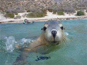 Calypso Star Charters - Holiday Find 1