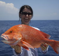 Absolute Ocean Charters