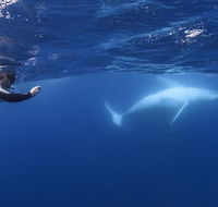 Sunreef Mooloolaba - Holiday Find