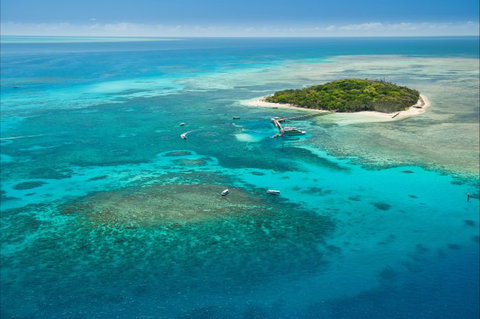 Big Cat Green Island Reef Cruises - Holiday Find 6