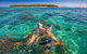 Big Cat Green Island Reef Cruises - thumb 12