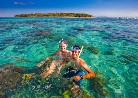 Big Cat Green Island Reef Cruises - Holiday Find 13