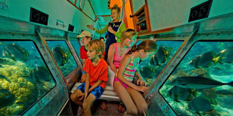 Big Cat Green Island Reef Cruises - Holiday Find 15