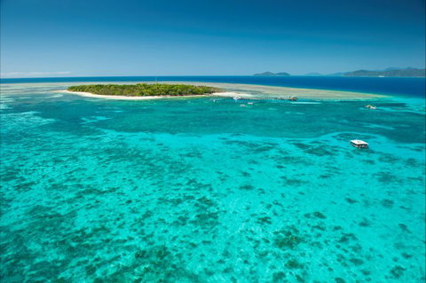 Big Cat Green Island Reef Cruises - Holiday Find 16