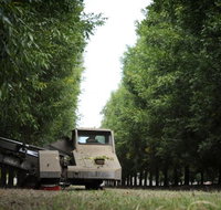 ODempseys Charters and Tours - Holiday Find