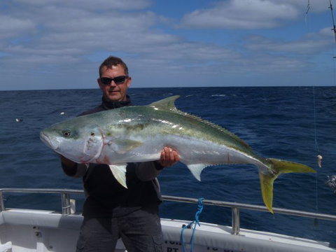 Reef Encounters Fishing Charters. - Holiday Find 12
