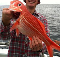 Goin' Off Safaris - Holiday Find