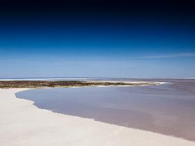 Goin' Off Safaris - Holiday Find 7