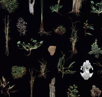 Weswal Gallery - Holiday Find