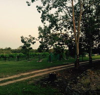 Brierley Wines - Holiday Find