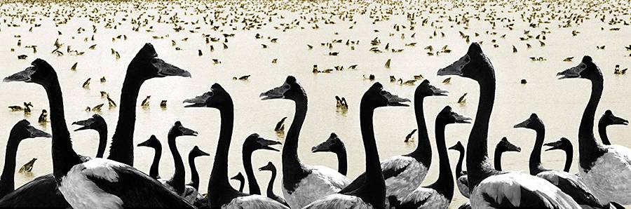 Coconut Grove NT Holiday Find