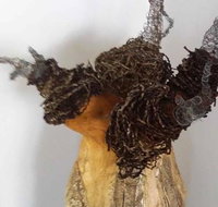 Caldera Wildscapes Gallery - Holiday Find