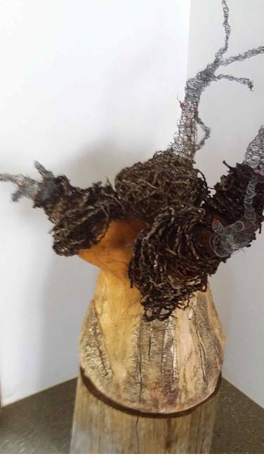 Caldera Wildscapes Gallery - Holiday Find 0