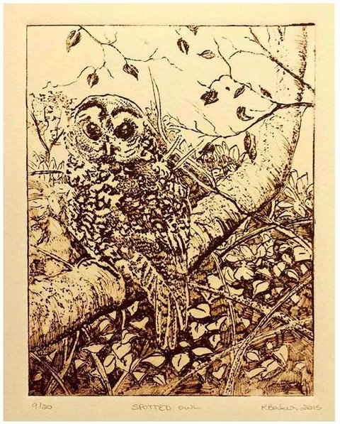 Caldera Wildscapes Gallery - Holiday Find 3