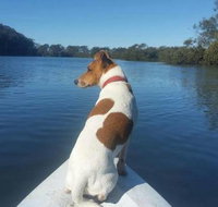 Australis Canoes  Kayaks - Holiday Find
