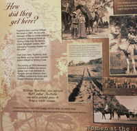 National Pioneer Womens Hall of Fame - Holiday Find