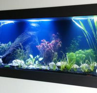 Aquariums in Cairns - Holiday Find
