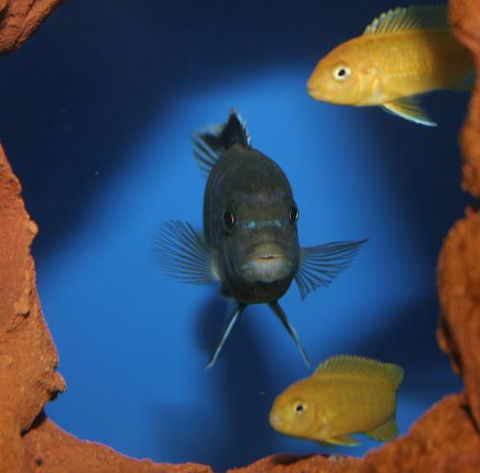 River To Reef Aquarium - Holiday Find 1