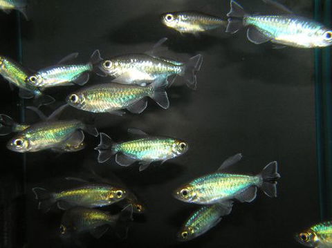 River To Reef Aquarium - Holiday Find 3