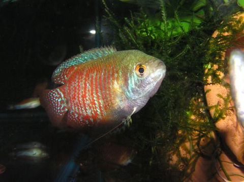 River To Reef Aquarium - Holiday Find 4
