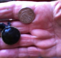 Hurleys Aquariums - Holiday Find