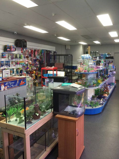 Nambour Pet Shop - Holiday Find 0
