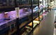 Nambour Pet Shop - thumb 1