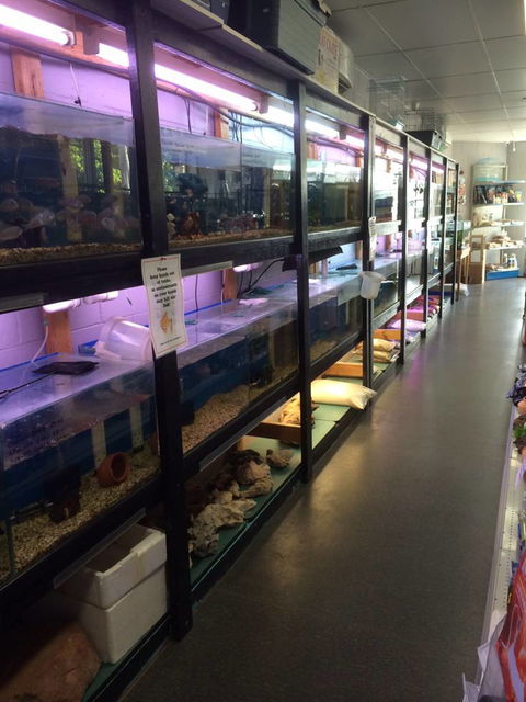 Nambour Pet Shop - Holiday Find 1