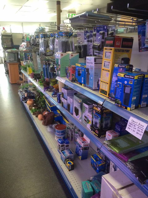 Nambour Pet Shop - Holiday Find 2