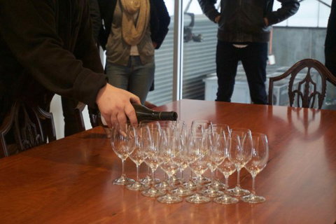 Wine Compass - Holiday Find 2