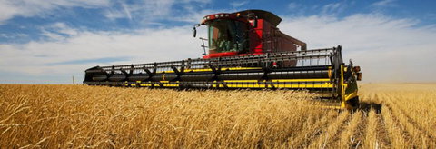 Quirindi Grain And Produce - Holiday Find 0