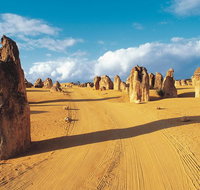 Pinnacles Desert Koalas and Sandboarding 4WD Day Tour from Perth