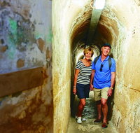 Rottnest Island Full-Day Trip With Guided Island Tour From Perth