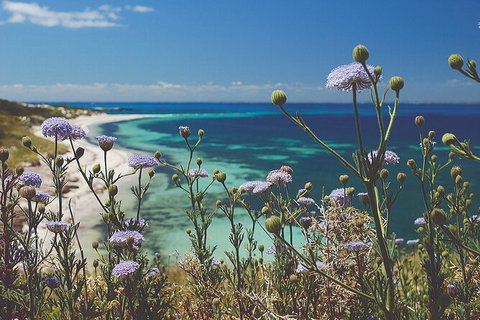 Rottnest Island Full-Day Trip With Guided Island Tour From Perth - Holiday Find 6
