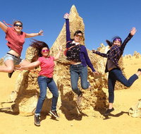 Pinnacles and Swan Valley Day Trip from Perth Including Caversham Wildlife Park Vineyard Lunch Pinnacles and Sandboarding