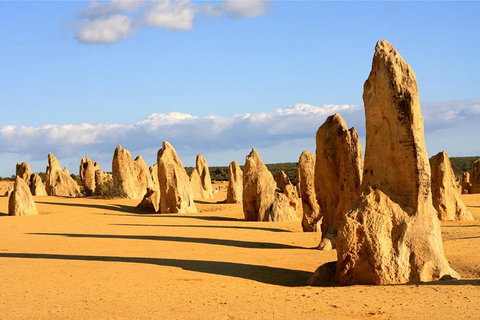 Pinnacles And Yanchep National Park Day Trip From Perth Including Lobster Shack Lunch And Sandboarding - Holiday Find 0