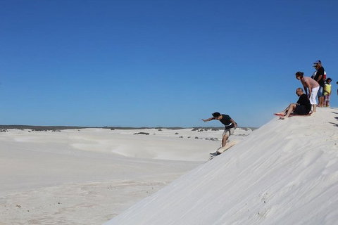 Pinnacles And Yanchep National Park Day Trip From Perth Including Lobster Shack Lunch And Sandboarding - Holiday Find 4