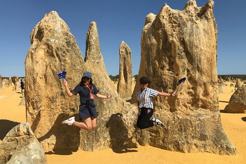 Pinnacles And Yanchep National Park Day Trip From Perth Including Lobster Shack Lunch And Sandboarding - Holiday Find 2