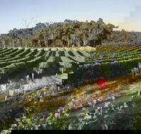 Margaret River Caves Wine and Cape Leeuwin Lighthouse Tour from Perth - Holiday Find