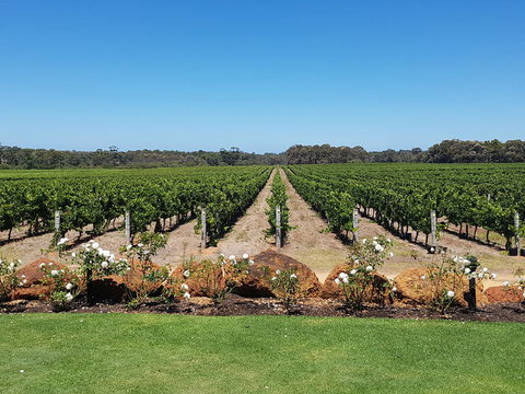 Margaret River Food, Wine & Sightseeing Tour From Perth - Holiday Find 5