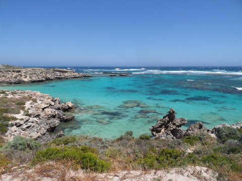 Rottnest Island Tour From Perth Or Fremantle Including Adventure Speed Boat Ride - Holiday Find 3
